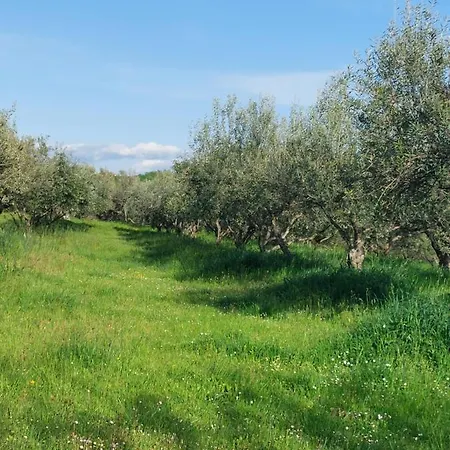 Apartamento Kortine Sečovlje