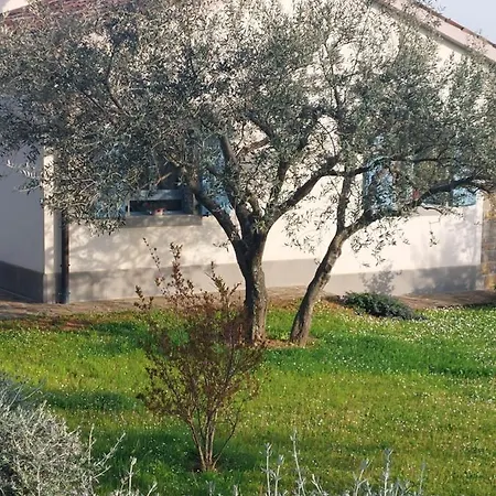 Kortine Apartamento