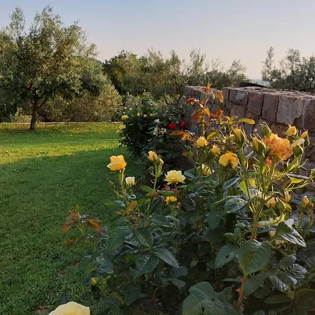 Kortine Sečovlje
